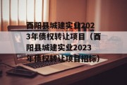 酉阳县城建实业2023年债权转让项目（酉阳县城建实业2023年债权转让项目招标）