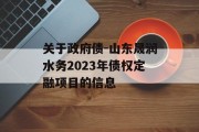 关于政府债-山东晟润水务2023年债权定融项目的信息