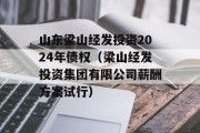 山东梁山经发投资2024年债权（梁山经发投资集团有限公司薪酬方案试行）