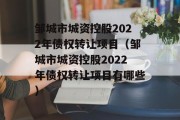 邹城市城资控股2022年债权转让项目（邹城市城资控股2022年债权转让项目有哪些）