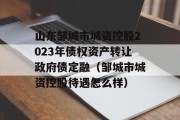 山东邹城市城资控股2023年债权资产转让政府债定融（邹城市城资控股待遇怎么样）