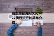 山东烟台海阳文化2022债权资产的简单介绍