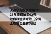 天津宁河投资控股2023年债权拍卖02号政府政信债定融（宁河土地拍卖最新消息）