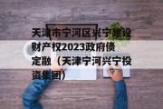 天津市宁河区兴宁建设财产权2023政府债定融（天津宁河兴宁投资集团）