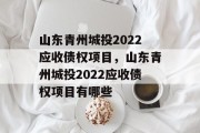 山东青州城投2022应收债权项目，山东青州城投2022应收债权项目有哪些