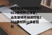 山东邹城市城资控股2023债权转让项目，山东邹城市城资控股2023债权转让项目招标