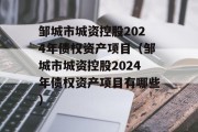 邹城市城资控股2024年债权资产项目（邹城市城资控股2024年债权资产项目有哪些）