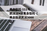 央企信托-111号·武汉汉N区集合信托（央企投资武汉3000亿）