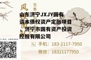 山东济宁JXJY国有资本债权资产定融项目，济宁市国有资产投资控股有限公司