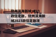 钦州滨海新城2023政信定融，钦州滨海新城2023政信定融项目