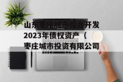 山东枣庄城市综合开发2023年债权资产（枣庄城市投资有限公司）