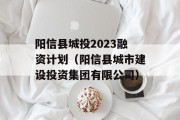 阳信县城投2023融资计划（阳信县城市建设投资集团有限公司）