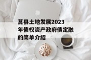 莒县土地发展2023年债权资产政府债定融的简单介绍