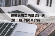 聊城民安定向融资计划(第一期)的简单介绍