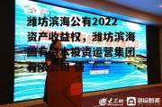 潍坊滨海公有2022资产收益权，潍坊滨海国有资本投资运营集团有限公司 债