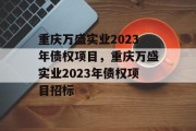 重庆万盛实业2023年债权项目，重庆万盛实业2023年债权项目招标