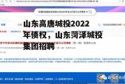 山东高唐城投2022年债权，山东菏泽城投集团招聘