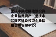 重庆市武隆区建设投资企业信用资产（重庆市武隆区建设投资企业信用资产管理中心）