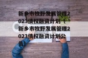 新乡市牧野发展管理2023债权融资计划（新乡市牧野发展管理2023债权融资计划公告）