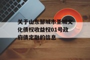 关于山东邹城市圣城文化债权收益权01号政府债定融的信息