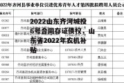 2022山东齐河城投6号合同存证债权，山东省2022年农机补贴