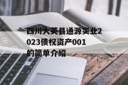 四川大英县通源实业2023债权资产001的简单介绍