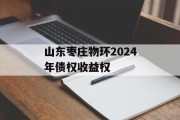 山东枣庄物环2024年债权收益权