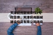 天津蓟州新城债权2号政信债，天津蓟州新城建设投资有限公司评级