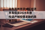 山东滨州市滨城区经济开发投资2024年债权资产城投债定融的简单介绍