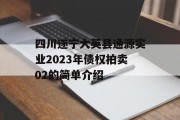 四川遂宁大英县通源实业2023年债权拍卖02的简单介绍