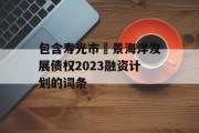 包含寿光市昇景海洋发展债权2023融资计划的词条