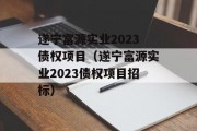 遂宁富源实业2023债权项目（遂宁富源实业2023债权项目招标）