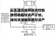 山东潍坊潍州投资控股债权收益权资产计划，潍坊滨海国投债权资产