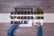 山东邹城圣城文旅债权资产政府债定融（邹城圣城幼儿园）