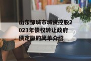 山东邹城市城资控股2023年债权转让政府债定融的简单介绍