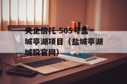 央企信托-505号盐城亭湖项目（盐城亭湖城投官网）