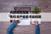 成都简阳发展（控股）债权资产拍卖项目的简单介绍