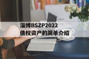 淄博BSZP2022债权资产的简单介绍