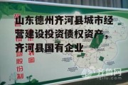 山东德州齐河县城市经营建设投资债权资产，齐河县国有企业