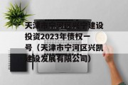 天津市宁河区兴宁建设投资2023年债权一号（天津市宁河区兴凯建设发展有限公司）