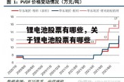 锂电池股票有哪些，关于锂电池股票有哪些