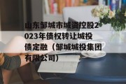 山东邹城市城资控股2023年债权转让城投债定融（邹城城投集团有限公司）