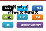 flv转avi，flv转avi文件会变大么