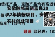 安徽融城高新富民2022年债权项目，安徽农村创业项目