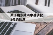 关于山东威海中基债权1号的信息