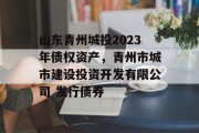 山东青州城投2023年债权资产，青州市城市建设投资开发有限公司 发行债券