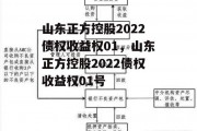 山东正方控股2022债权收益权01，山东正方控股2022债权收益权01号