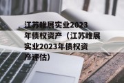 江苏睢展实业2023年债权资产（江苏睢展实业2023年债权资产评估）