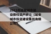 2023年延安城市建设债权资产转让（延安城市投资建设集团有限公司）