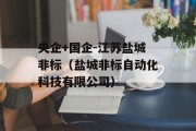 央企+国企-江苏盐城非标（盐城非标自动化科技有限公司）